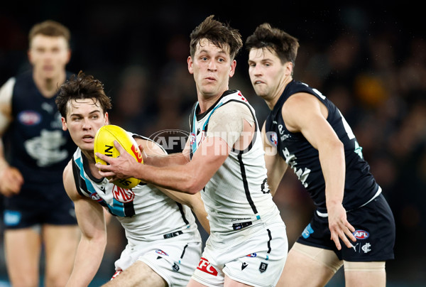 AFL 2024 Round 20 - Carlton v Port Adelaide - A-52166000
