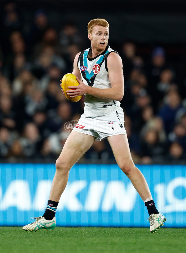 AFL 2024 Round 20 - Carlton v Port Adelaide - A-52166001