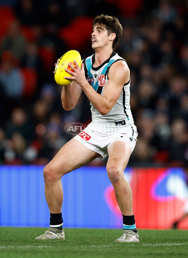AFL 2024 Round 20 - Carlton v Port Adelaide - A-52166031