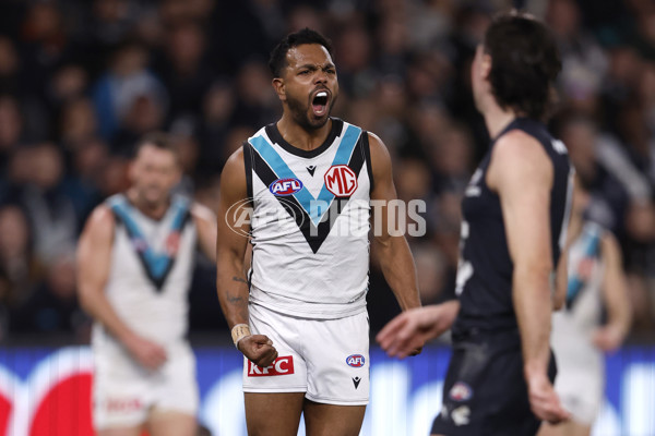 AFL 2024 Round 20 - Carlton v Port Adelaide - A-52166917