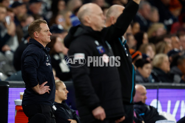 AFL 2024 Round 20 - Carlton v Port Adelaide - A-52169330