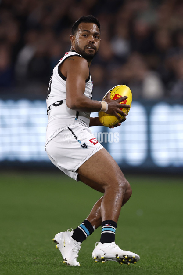 AFL 2024 Round 20 - Carlton v Port Adelaide - A-52169382