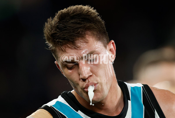 AFL 2024 Round 20 - Carlton v Port Adelaide - A-52171048