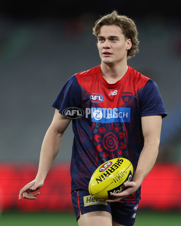 AFL 2024 Round 20 - Melbourne v GWS - A-52192574