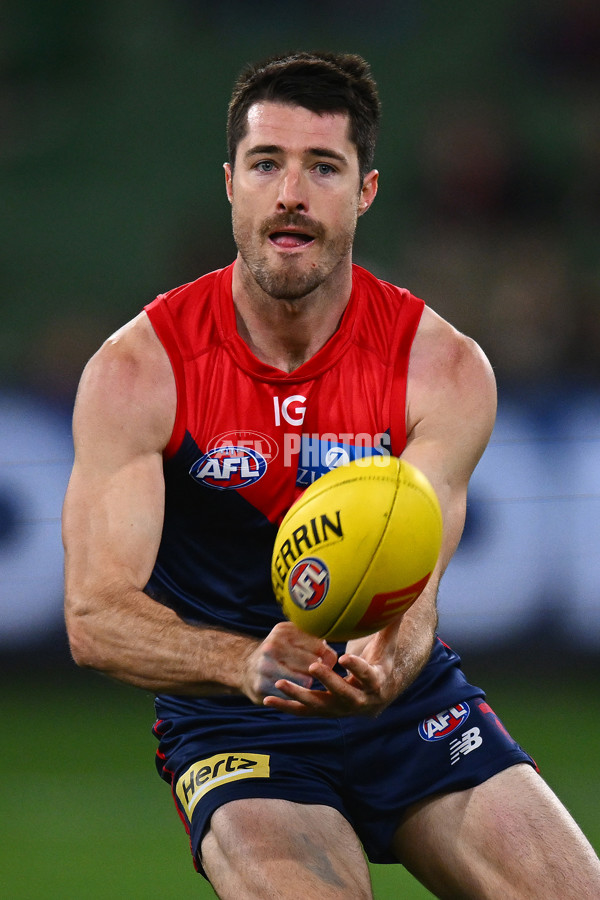 AFL 2024 Round 20 - Melbourne v GWS - A-52201121