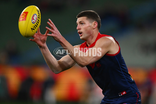 AFL 2024 Round 20 - Melbourne v GWS - A-52201653