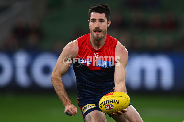 AFL 2024 Round 20 - Melbourne v GWS - A-52201721