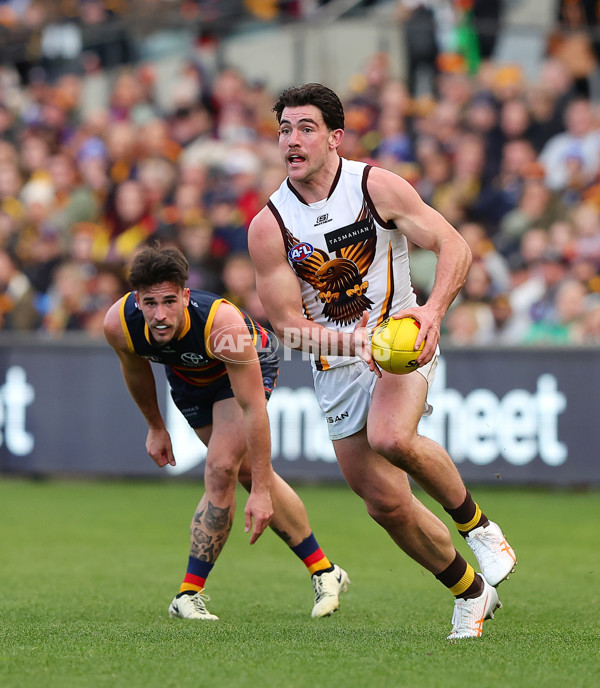 AFL 2024 Round 20 - Adelaide v Hawthorn - A-52239006