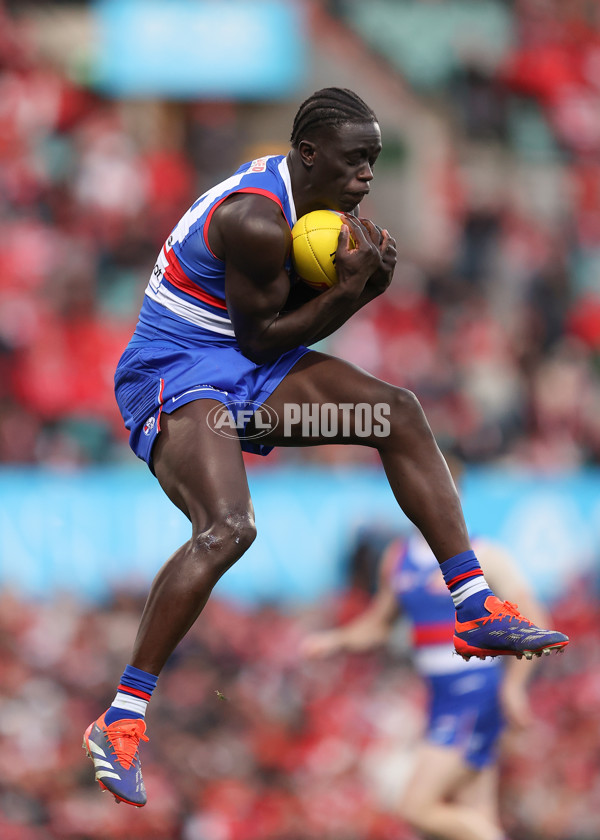 AFL 2024 Round 20 - Sydney v Western Bulldogs - A-52240739