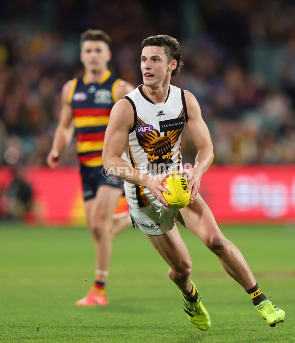 AFL 2024 Round 20 - Adelaide v Hawthorn - A-52249125