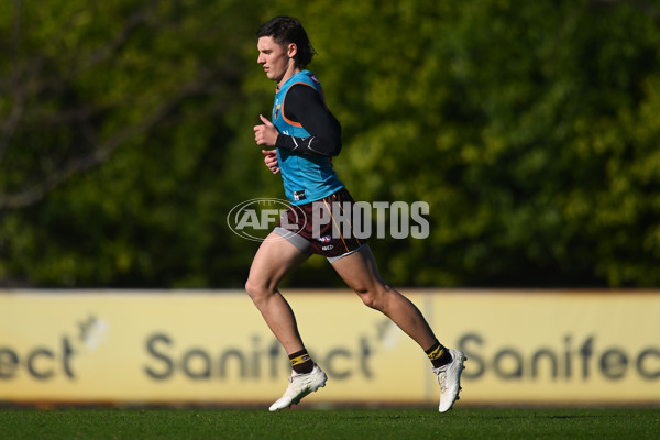 AFL 2024 Training - Hawthorn 020824 - A-52439695