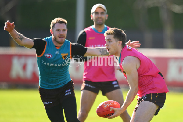 AFL 2024 Training - Hawthorn 020824 - A-52440196