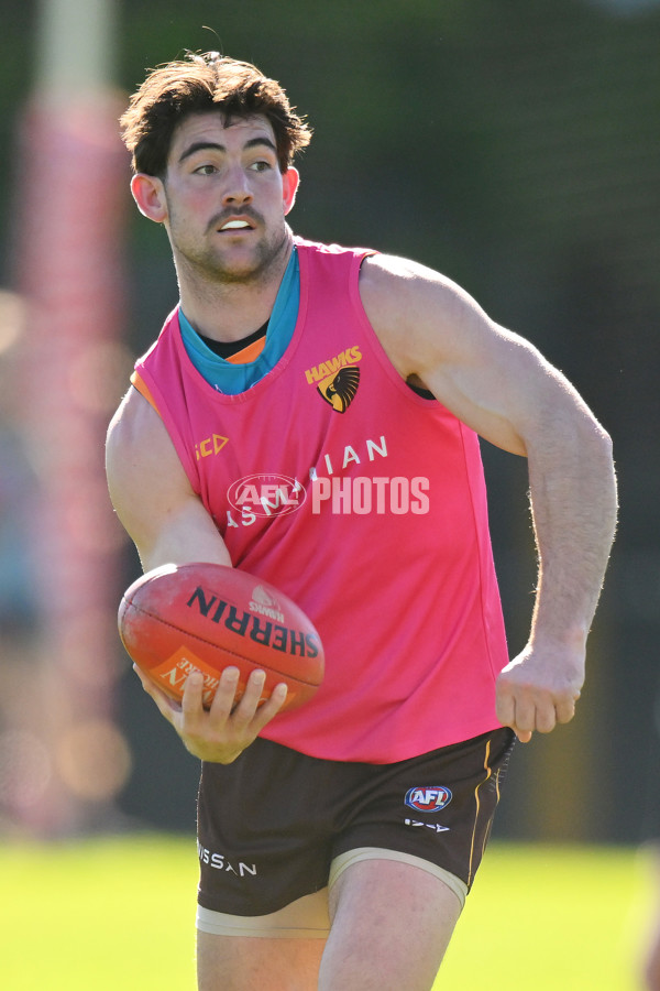 AFL 2024 Training - Hawthorn 020824 - A-52442549