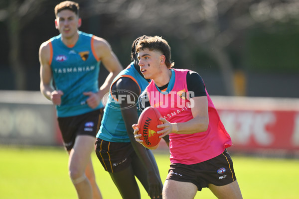 AFL 2024 Training - Hawthorn 020824 - A-52442551