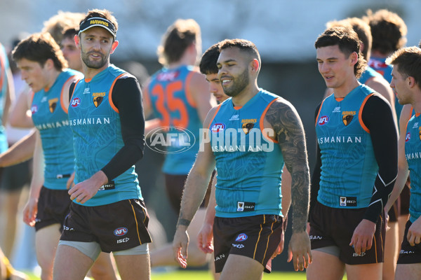 AFL 2024 Training - Hawthorn 020824 - A-52442552