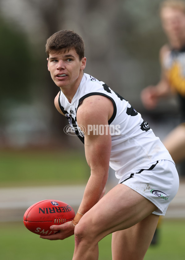 VFL 2024 Round 19 - Werribee v Southport - A-52475540