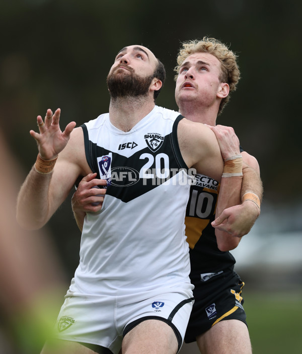 VFL 2024 Round 19 - Werribee v Southport - A-52481608