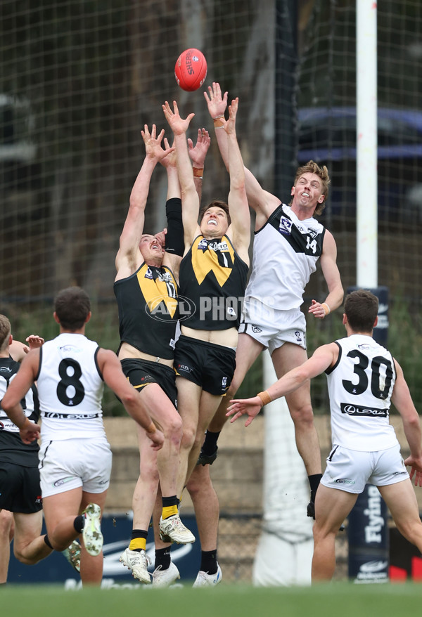 VFL 2024 Round 19 - Werribee v Southport - A-52481614