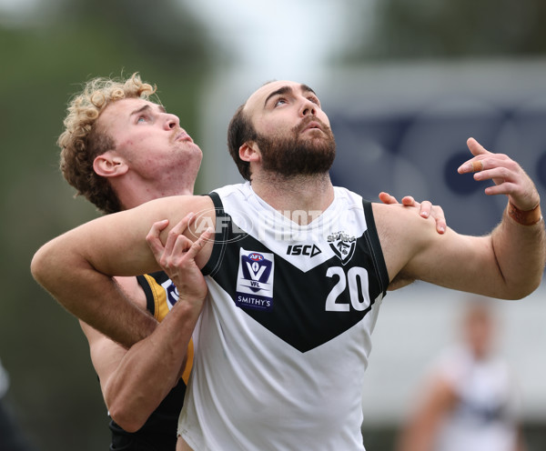 VFL 2024 Round 19 - Werribee v Southport - A-52490003
