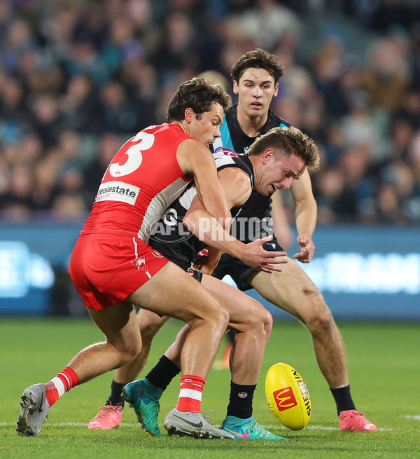 AFL 2024 Round 21 - Port Adelaide v Sydney - A-52492766
