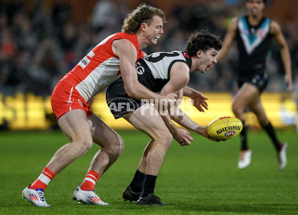 AFL 2024 Round 21 - Port Adelaide v Sydney - A-52495922