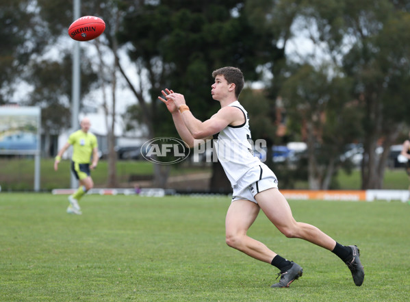VFL 2024 Round 19 - Werribee v Southport - A-52498193