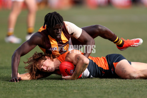 AFL 2024 Round 21 - GWS v Hawthorn - A-52522681