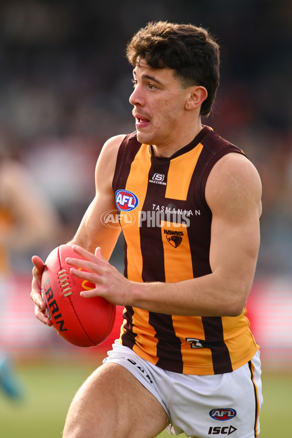 AFL 2024 Round 21 - GWS v Hawthorn - A-52523753