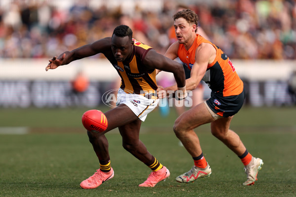 AFL 2024 Round 21 - GWS v Hawthorn - A-52525404
