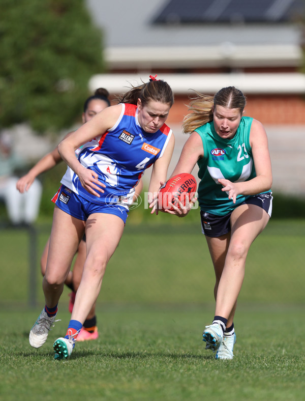 Young Gun Series 2024 - Young Guns v Oakleigh Chargers - A-52527187
