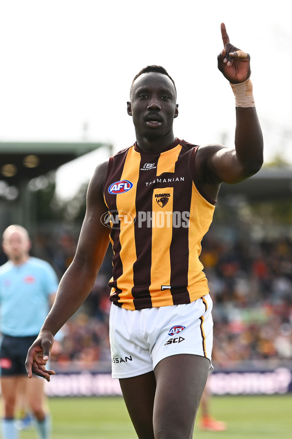 AFL 2024 Round 21 - GWS v Hawthorn - A-52529523