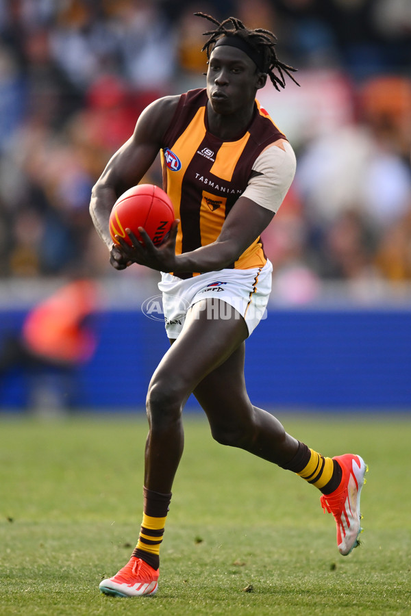 AFL 2024 Round 21 - GWS v Hawthorn - A-52532632