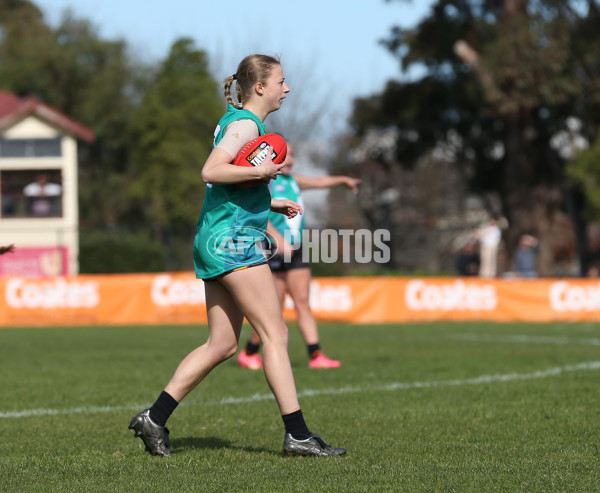 Young Gun Series 2024 - Young Guns v Oakleigh Chargers - A-52532669