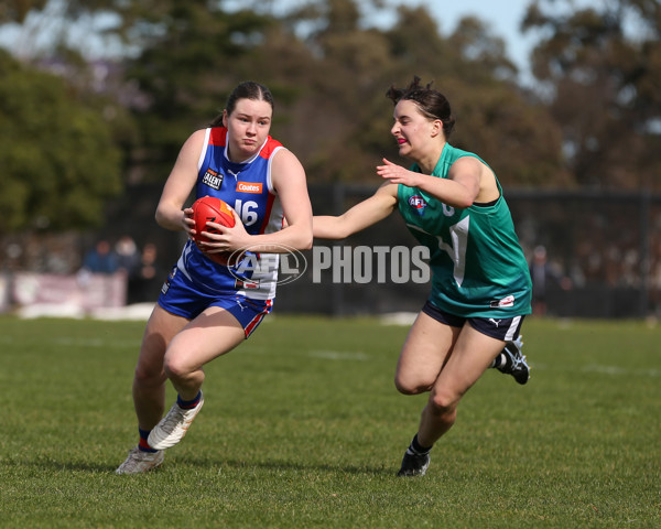 Young Gun Series 2024 - Young Guns v Oakleigh Chargers - A-52534879