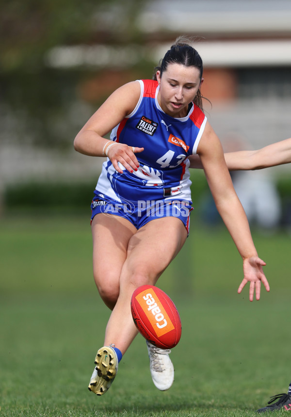 Young Gun Series 2024 - Young Guns v Oakleigh Chargers - A-52534938