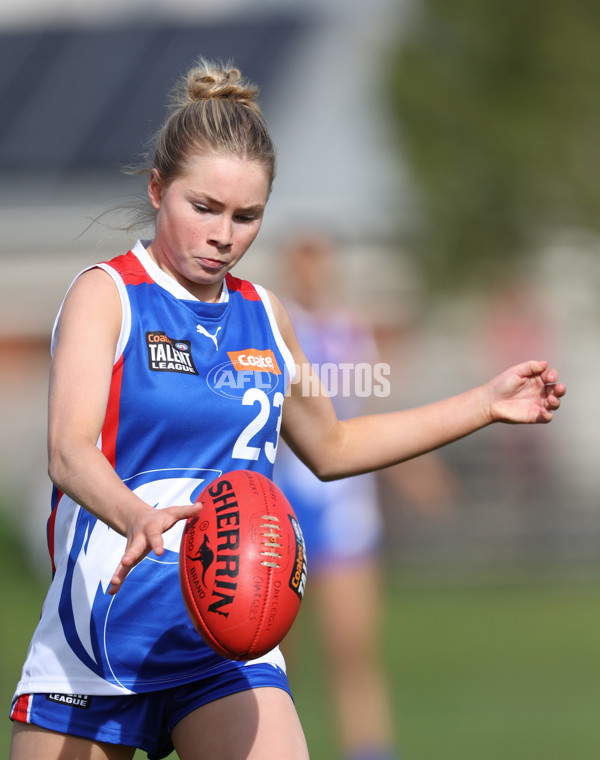 Young Gun Series 2024 - Young Guns v Oakleigh Chargers - A-52540624
