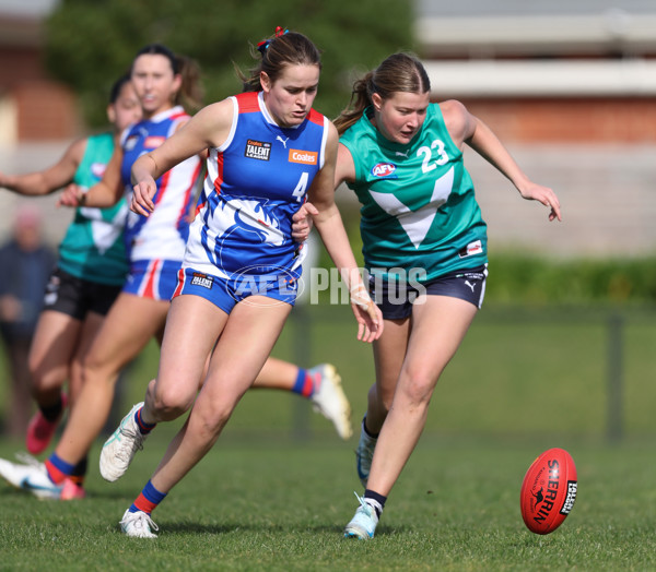 Young Gun Series 2024 - Young Guns v Oakleigh Chargers - A-52540656