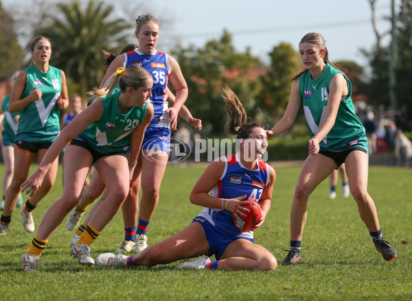 Young Gun Series 2024 - Young Guns v Oakleigh Chargers - A-52549234
