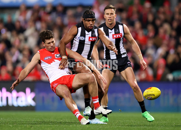AFL 2024 Round 22 - Sydney v Collingwood - A-52626040