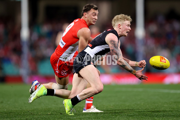 AFL 2024 Round 22 - Sydney v Collingwood - A-52628375