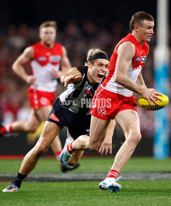 AFL 2024 Round 22 - Sydney v Collingwood - A-52628414