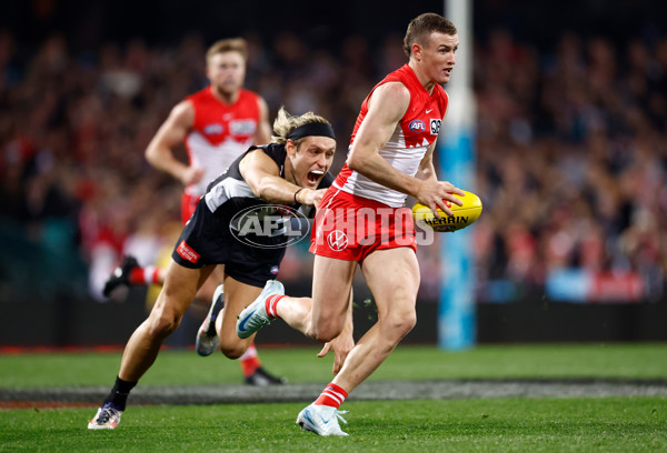 AFL 2024 Round 22 - Sydney v Collingwood - A-52629184
