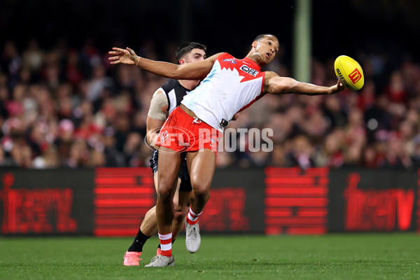AFL 2024 Round 22 - Sydney v Collingwood - A-52629203