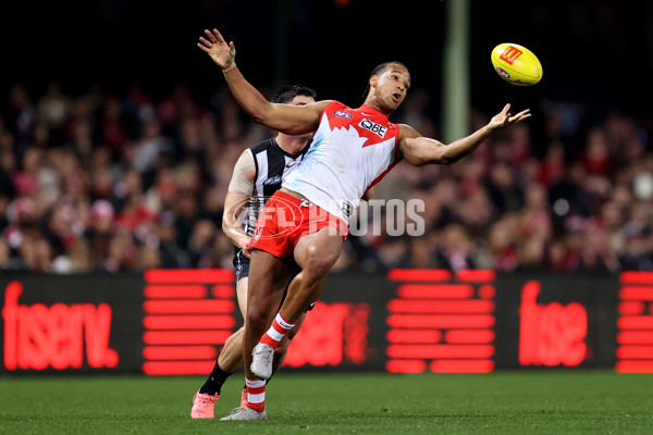 AFL 2024 Round 22 - Sydney v Collingwood - A-52629208