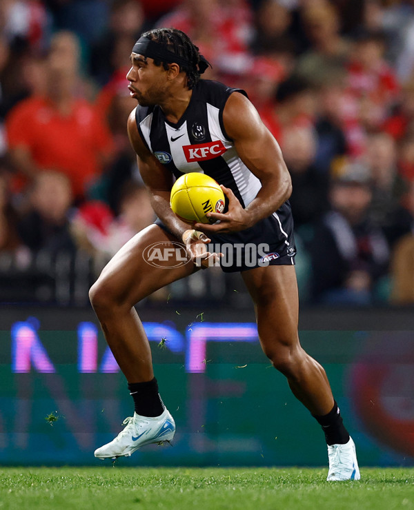 AFL 2024 Round 22 - Sydney v Collingwood - A-52629223