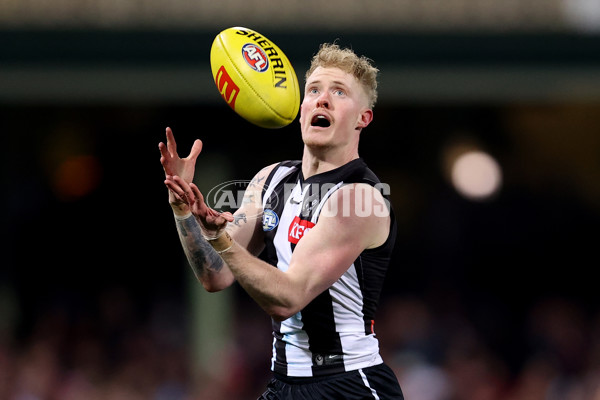 AFL 2024 Round 22 - Sydney v Collingwood - A-52629276