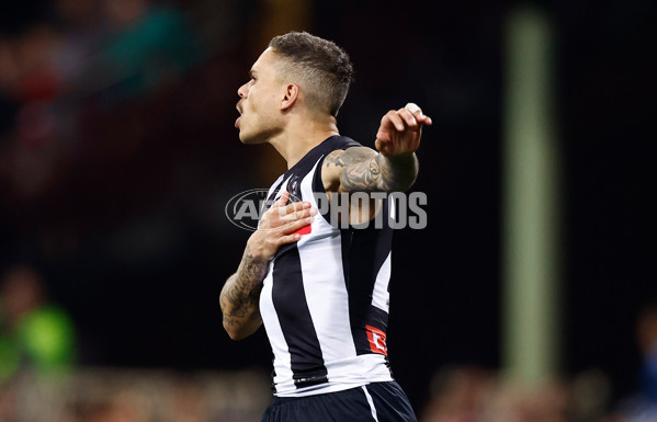 AFL 2024 Round 22 - Sydney v Collingwood - A-52629278