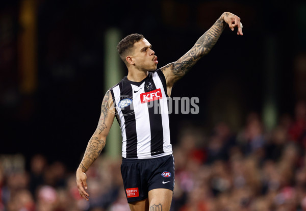 AFL 2024 Round 22 - Sydney v Collingwood - A-52631008