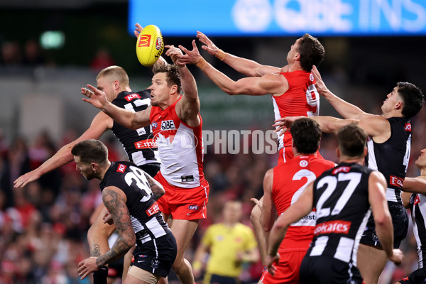 AFL 2024 Round 22 - Sydney v Collingwood - A-52631011