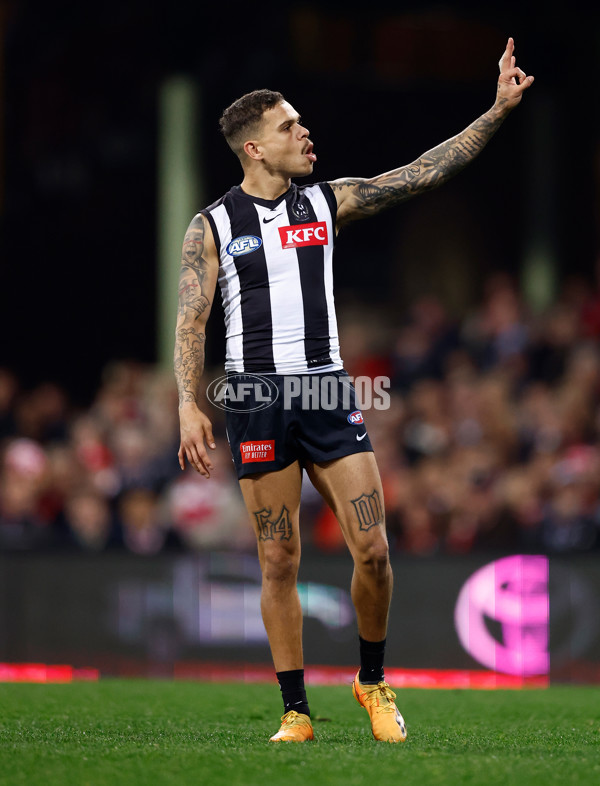 AFL 2024 Round 22 - Sydney v Collingwood - A-52631013